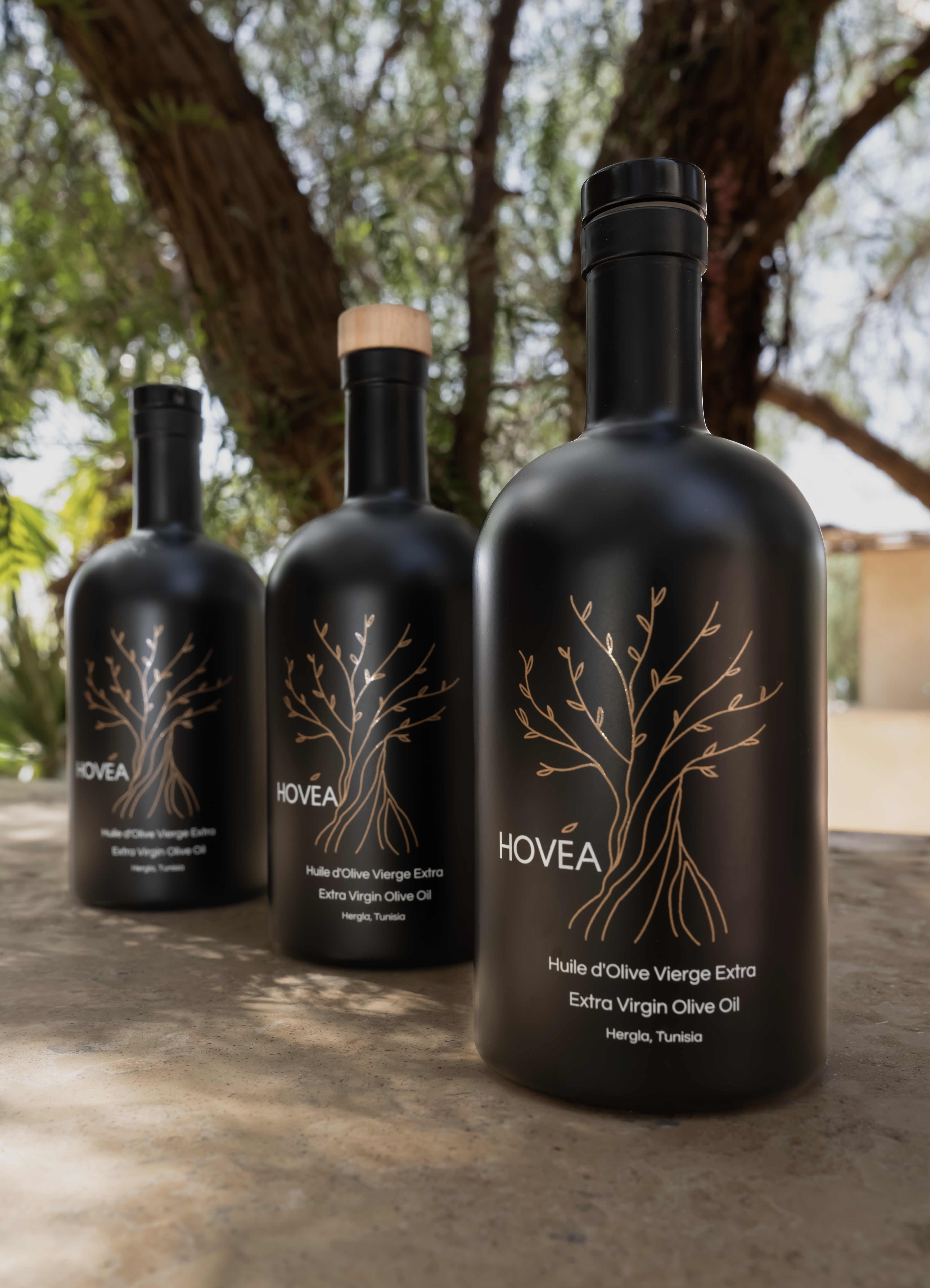 hovea huile d'olive